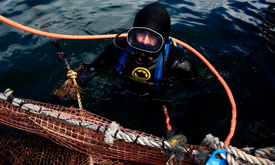 Operaciones Submarinas